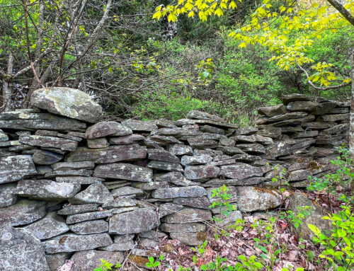 Stonewalls — 27944nys28