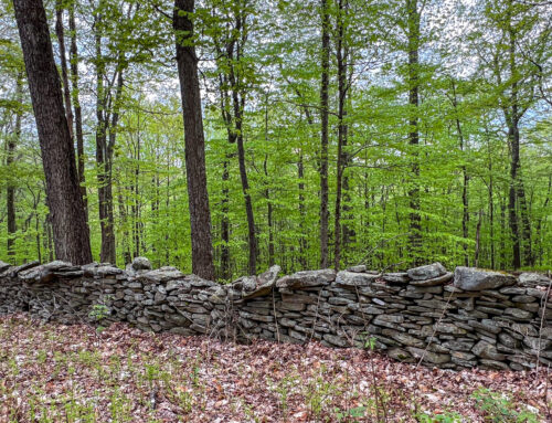 Stonewalls — 27944nys28