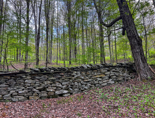 Stonewalls — 27944nys28