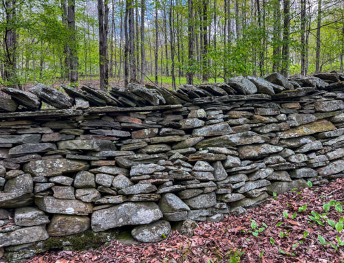 Stonewalls — 27944nys28